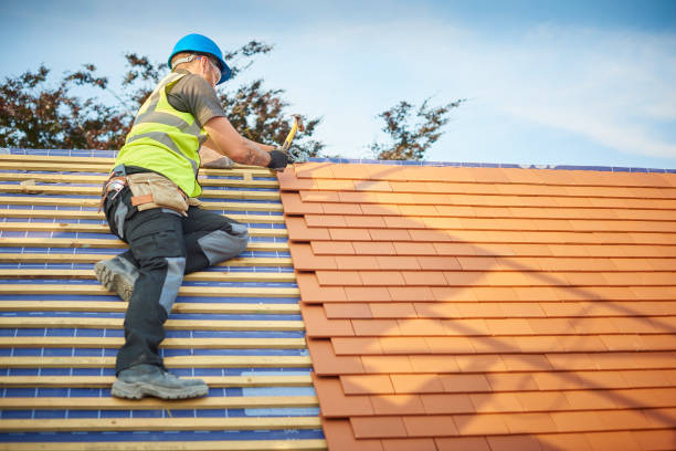 Best Rubber Roofing (EPDM, TPO)  in Drexel Hill, PA