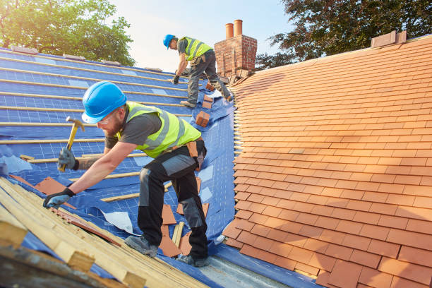Best Roof Insulation Installation  in Drexel Hill, PA